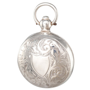 A Silver Sovereign Case