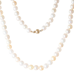 A Strand of Australian Akoyas