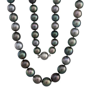 Shaded Drop Oval Tahitian Strand