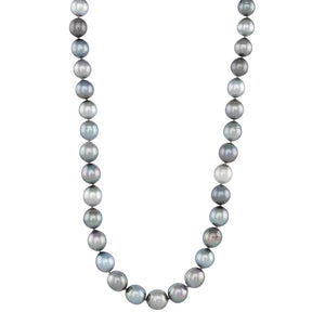 Shaded Drop Oval Tahitian Strand
