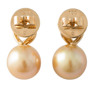 Gold South Sea Pearl Earrings