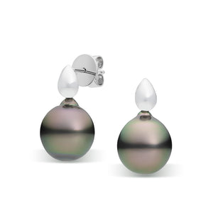 Tahitian Pearl Fixed Drop Studs