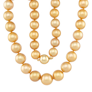 Semi Round Gold South Sea Strand