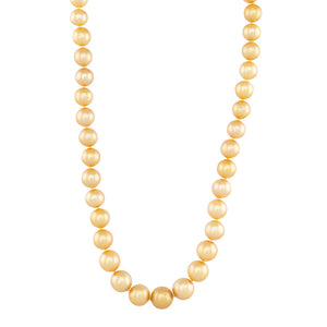 9 - 12mm Gold South Sea Strand