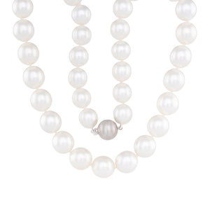 Oval South Sea Pearl Strand