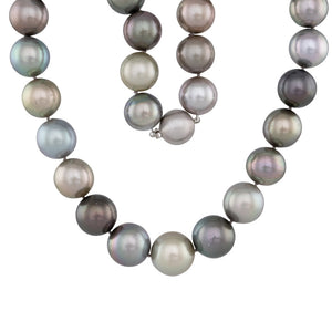 Round Shaded Tahitian Strand