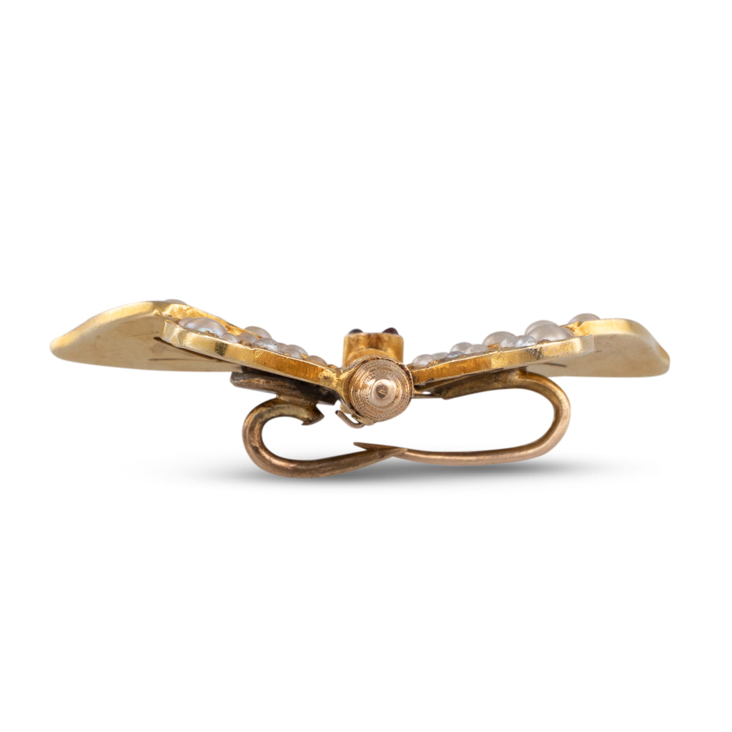 Victorian Butterfly Brooch Clip