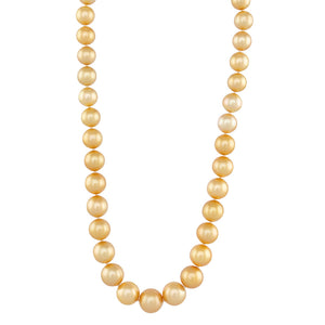 10-13mm Gold South Sea Strand