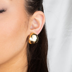 Domed and Faceted Earrings
