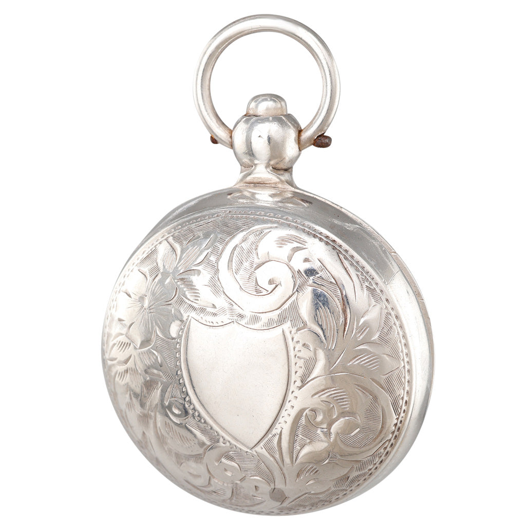 A Silver Sovereign Case