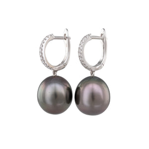 11mm Tahitian Pearl Huggie Earrings