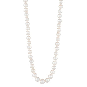 Semi-Round South Sea Pearl Strand