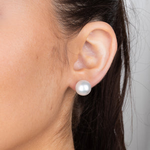 11-12mm Round South Sea Studs