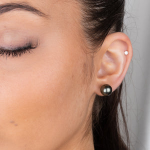 10-11mm Round Tahitian Pearl Studs