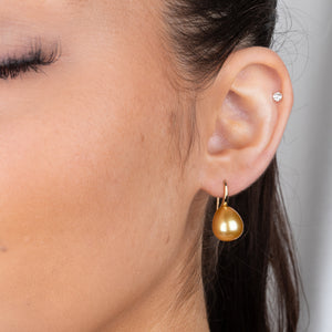 Gold South Sea Pearl Hook Earrings