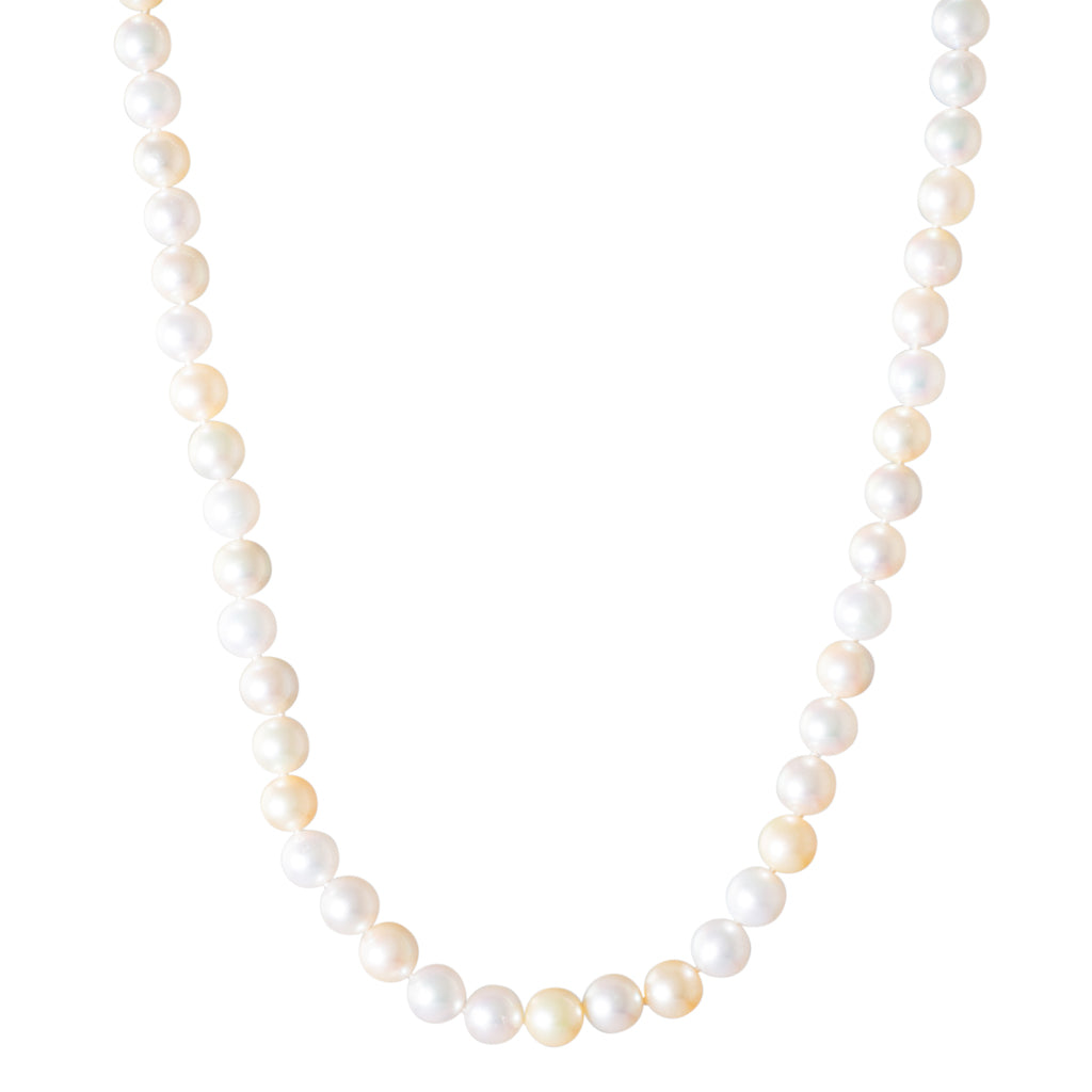 A Strand of Australian Akoyas