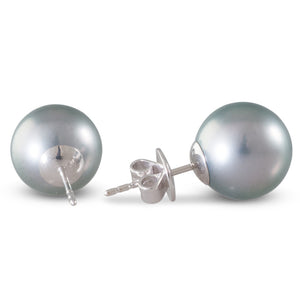 9-10mm Round Tahitian Pearl Studs