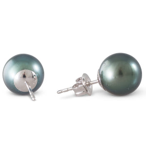 Tahitian South Sea Pearl 9mm Studs