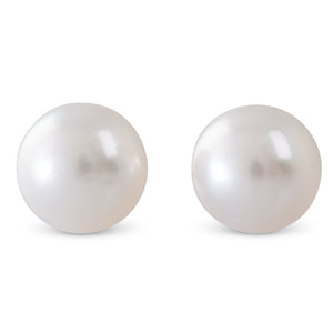 South Sea Pearl Studs 8-8.5mm