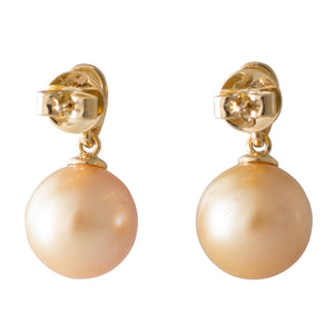 Gold South Sea Drop Stud Earrings