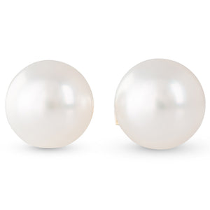 10mm Button South Sea Studs