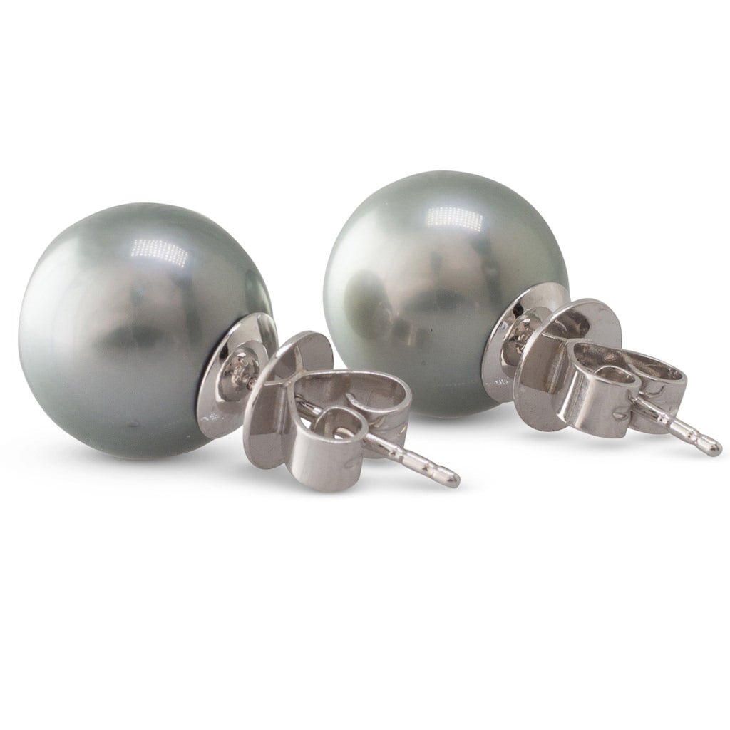 Tahitian Pearl Stud Earrings