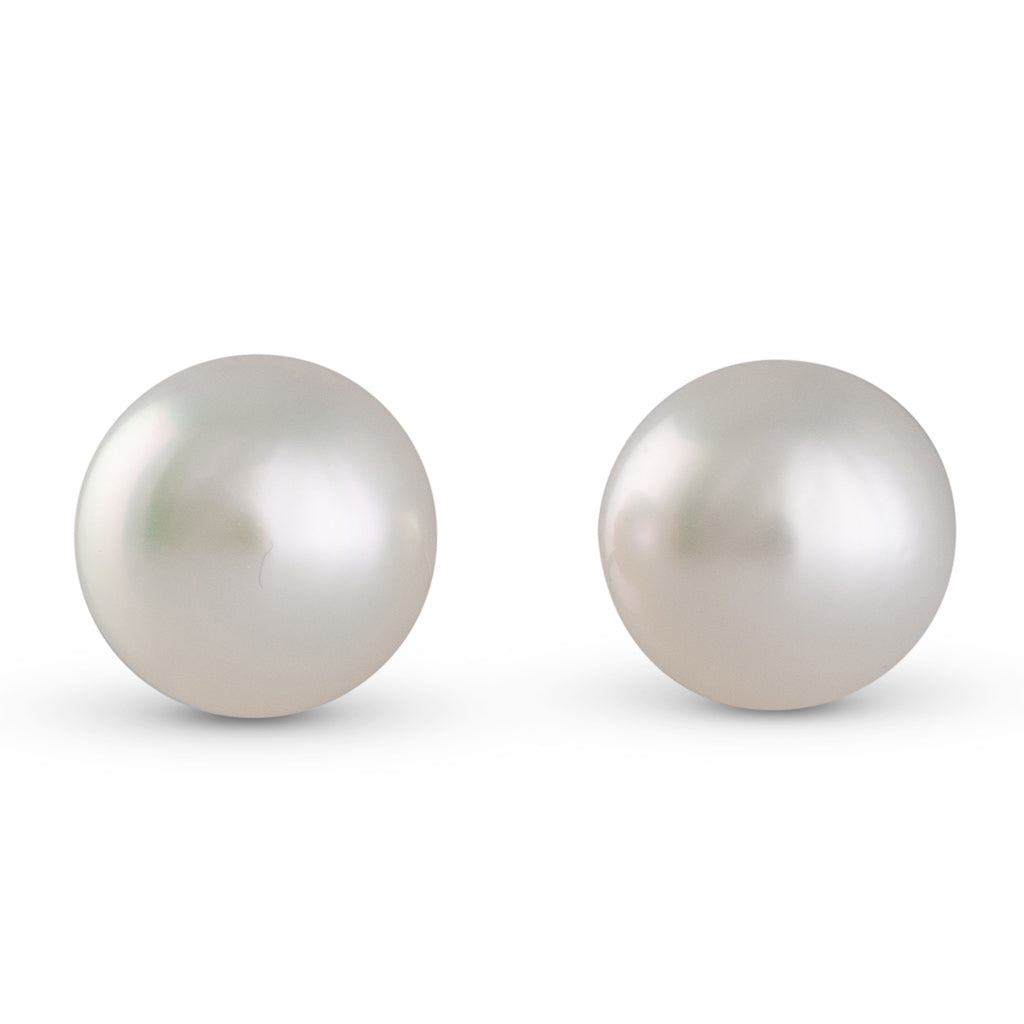 11mm Button South Sea Stud Earrings