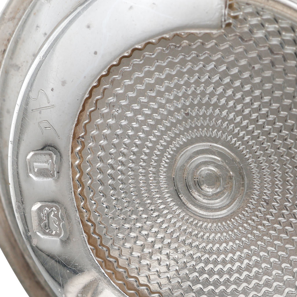 A Silver Sovereign Case