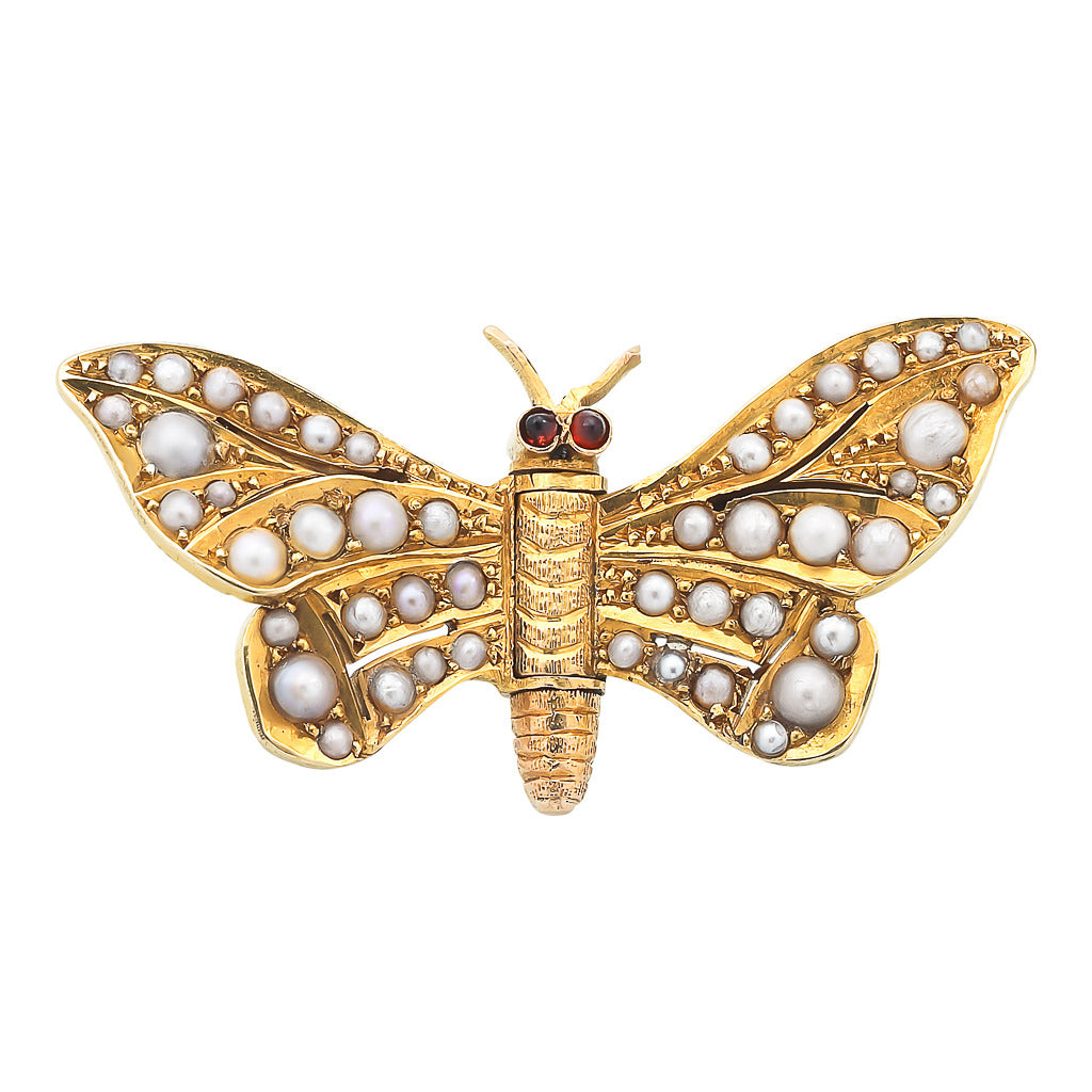 Victorian Butterfly Brooch Clip