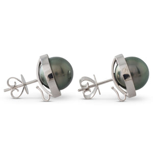 Heavy Bezel Set Tahitian Studs
