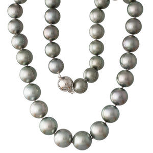 Tahitian South Sea Pearl Strand