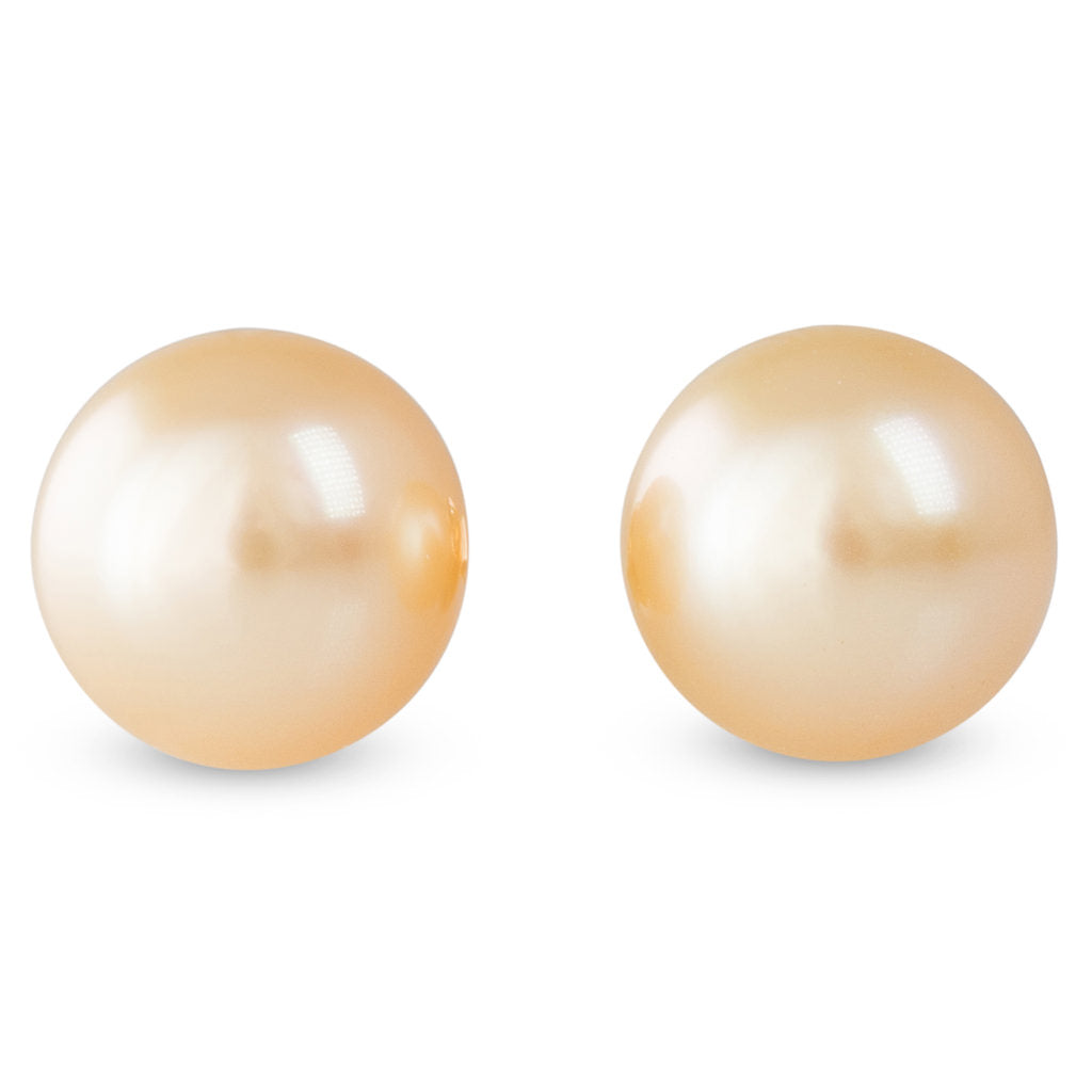 Gold South Sea Pearl Studs