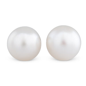 14mm South Sea Stud Earrings