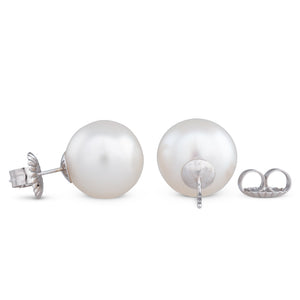 14mm South Sea Stud Earrings