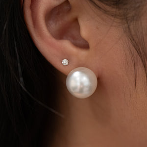 14mm South Sea Stud Earrings