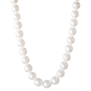 Oval Australian South Sea Strand