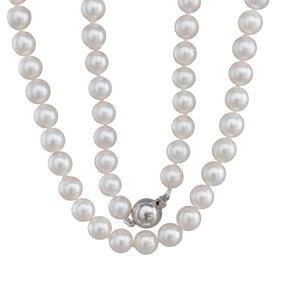 7.5-8mm Japanese Akoya Strand