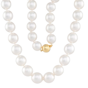 13-15mm Oval South Sea Strand