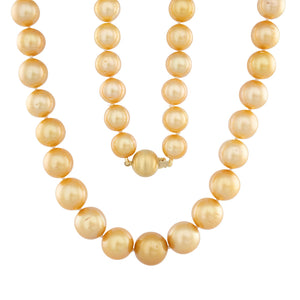 9 - 12mm Gold South Sea Strand