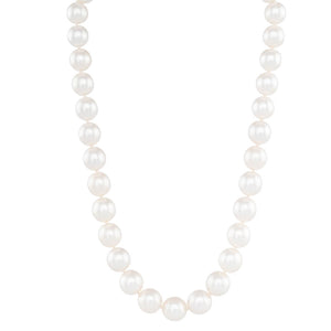 Oval South Sea Pearl Strand